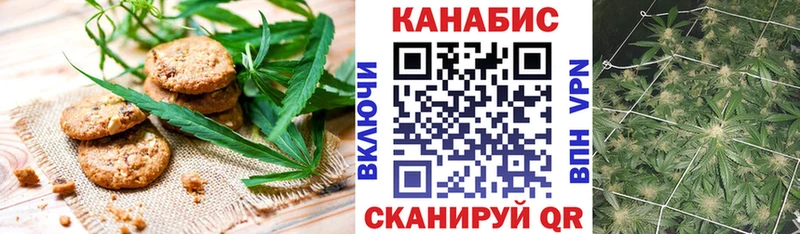 Canna-Cookies марихуана  Новоузенск 