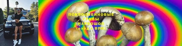 каннабис Богданович