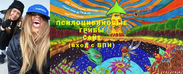 герыч Белая Холуница